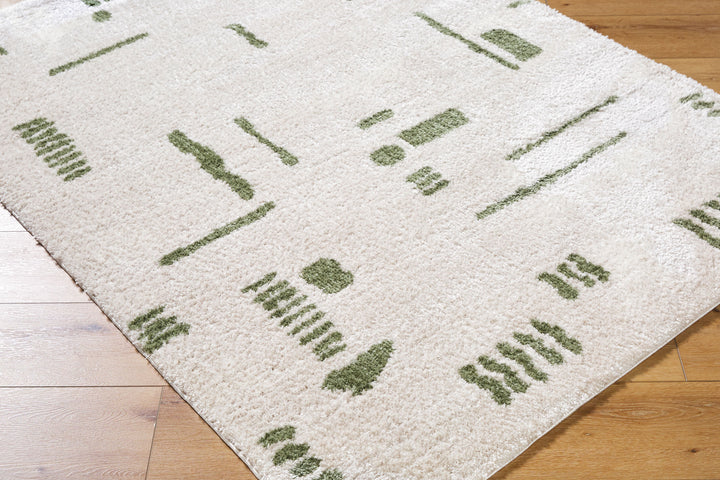 Fossay Washable Shag Rug | FSG | Abstract Shapes