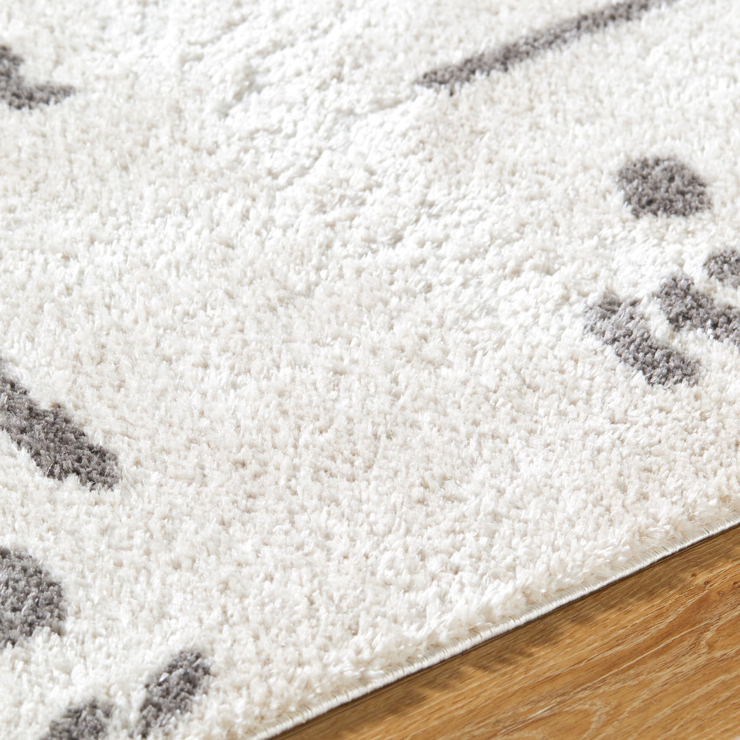 Fossay Washable Shag Rug | FSG | Abstract Shapes