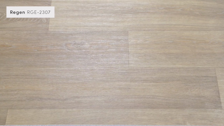 Regen Washable Rug | RGE-2307/2308