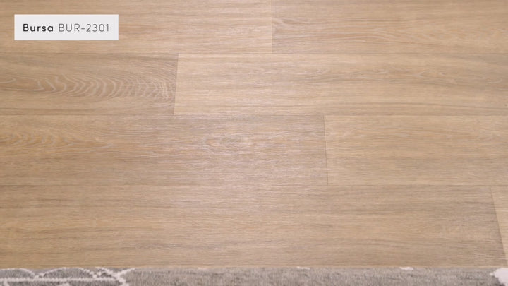 Bursa Handmade Rug | BUR-2301