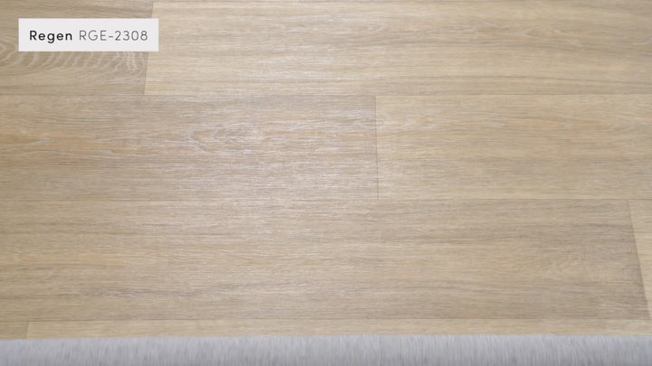 Regen Washable Rug | RGE-2307/2308
