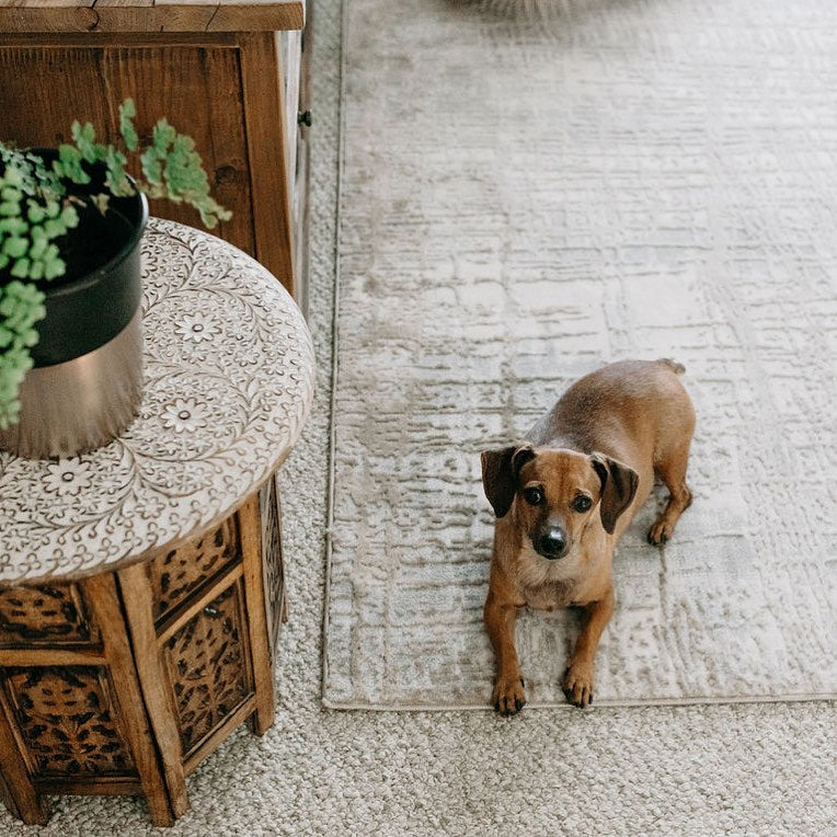 rug over carpet