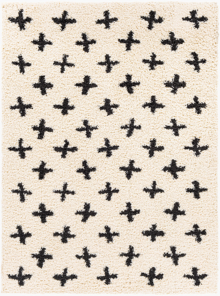 Benji Criss x Cross Shag Rug