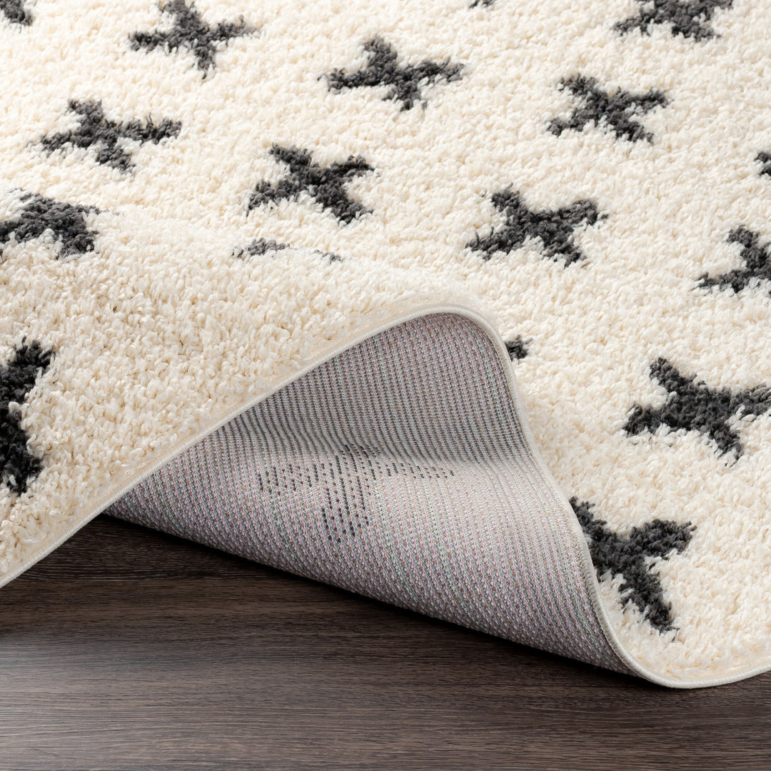 Benji Criss x Cross Shag Rug
