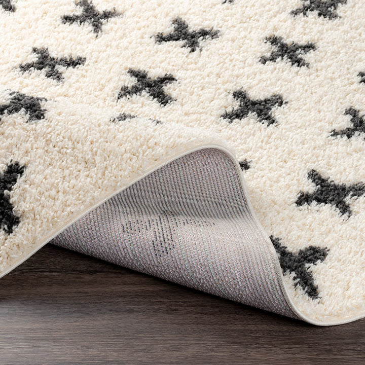 Benji Criss x Cross Shag Rug