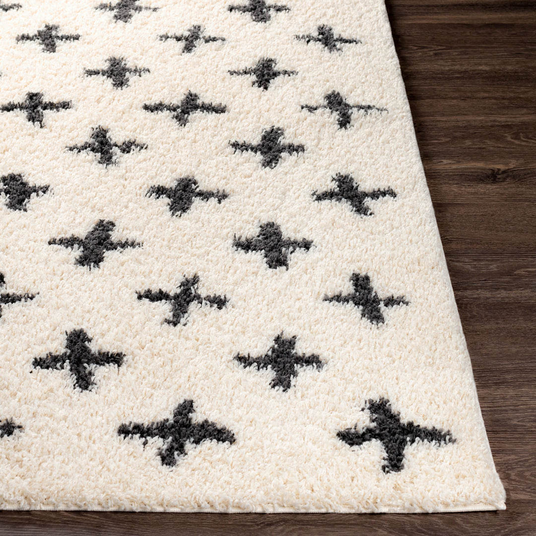Benji Criss x Cross Shag Rug