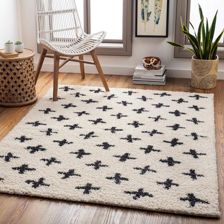Benji Criss x Cross Shag Rug