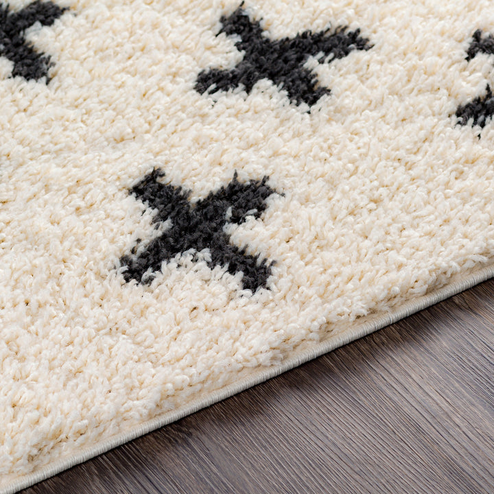 Benji Criss x Cross Shag Rug