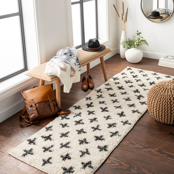 Benji Criss x Cross Shag Rug
