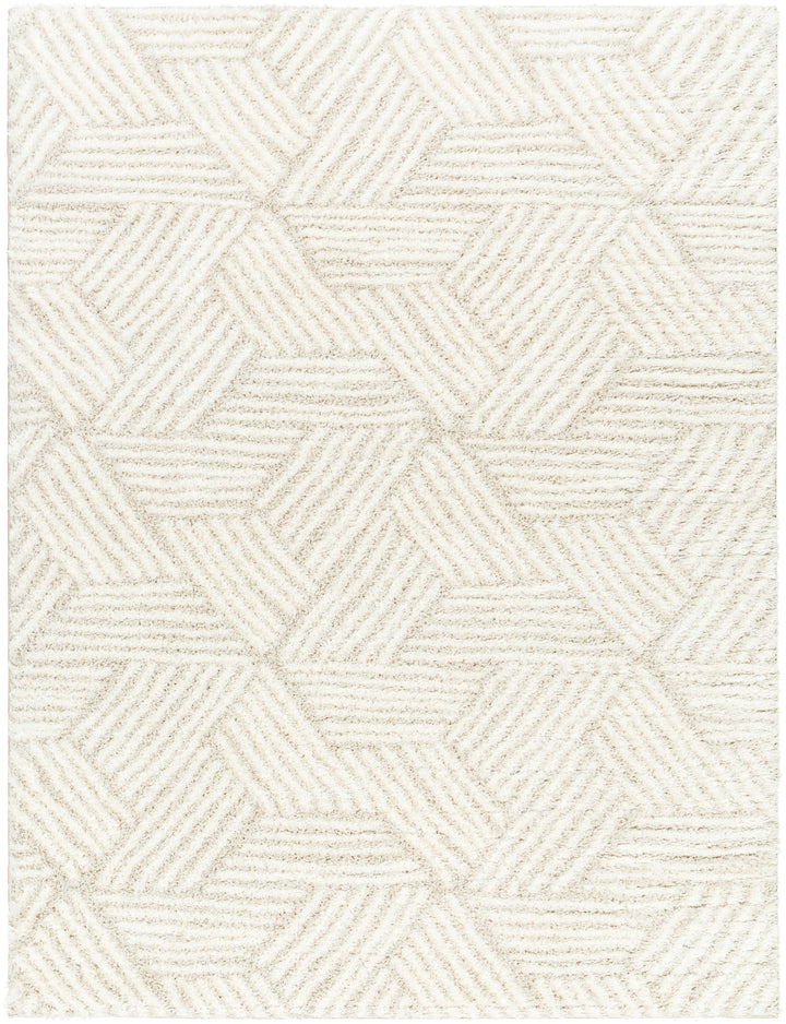 Cloudy Shag Rug | CDG-2319/2320
