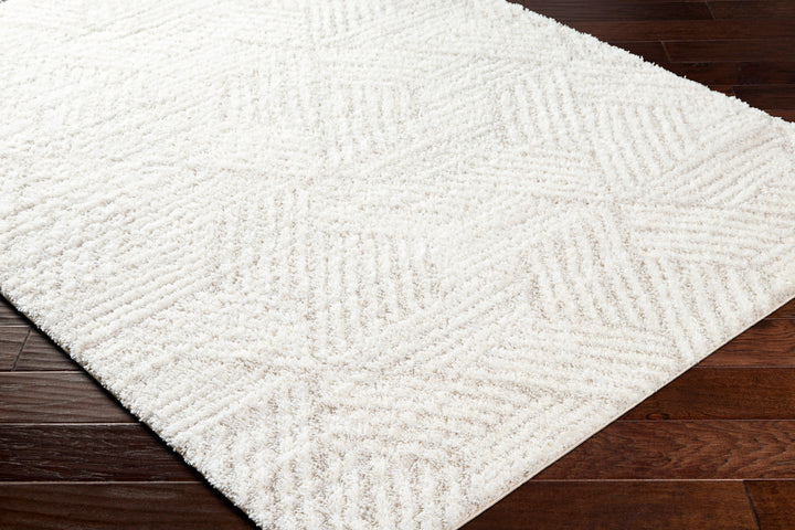 Cloudy Shag Rug | CDG-2319/2320