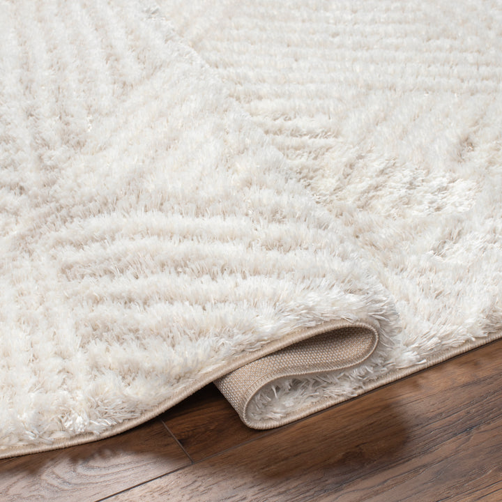 Cloudy Shag Rug | CDG-2319/2320