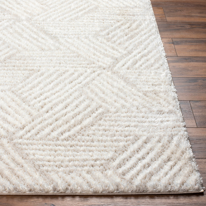 Cloudy Shag Rug | CDG-2319/2320