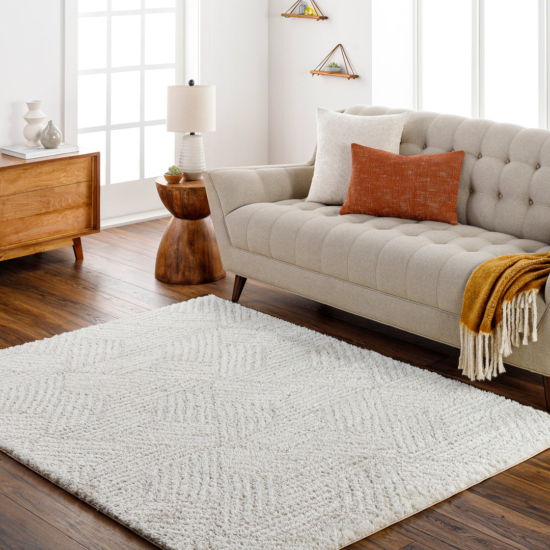 Cloudy Shag Rug | CDG-2319/2320