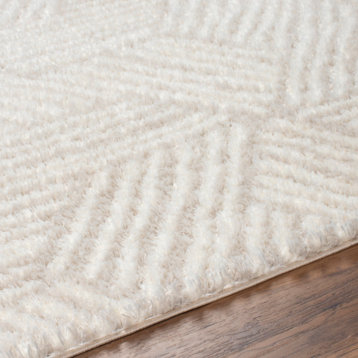 Cloudy Shag Rug | CDG-2319/2320