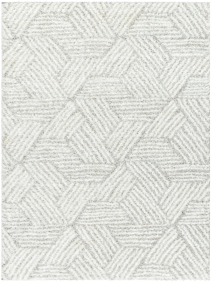 Cloudy Shag Rug | CDG-2319/2320