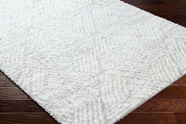 Cloudy Shag Rug | CDG-2319/2320