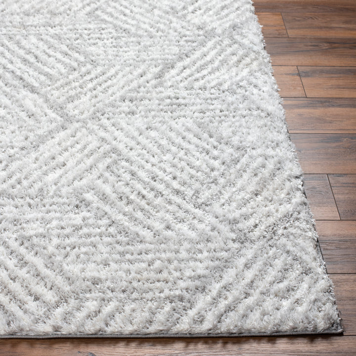 Cloudy Shag Rug | CDG-2319/2320