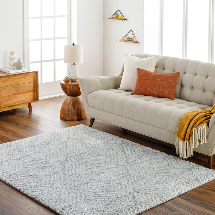 Cloudy Shag Rug | CDG-2319/2320