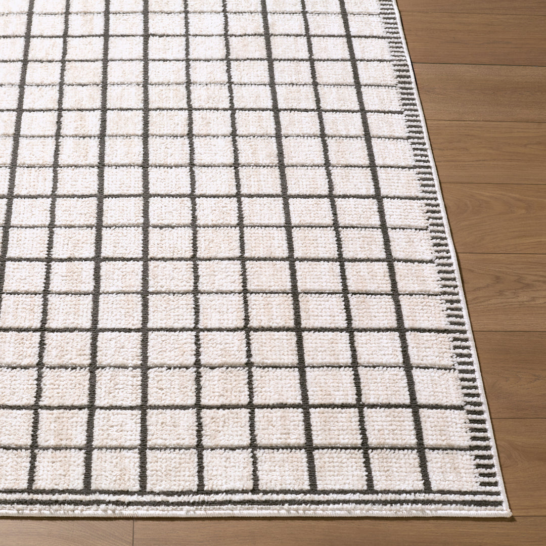 Odeon Rug