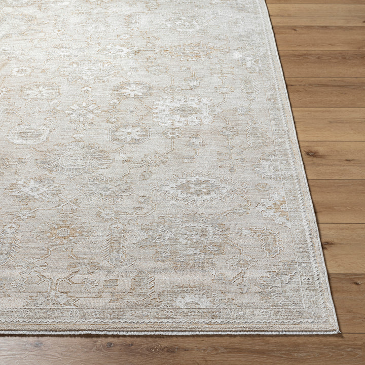 Emory Machine Woven Rug | EMO-2306 – Lewis Park