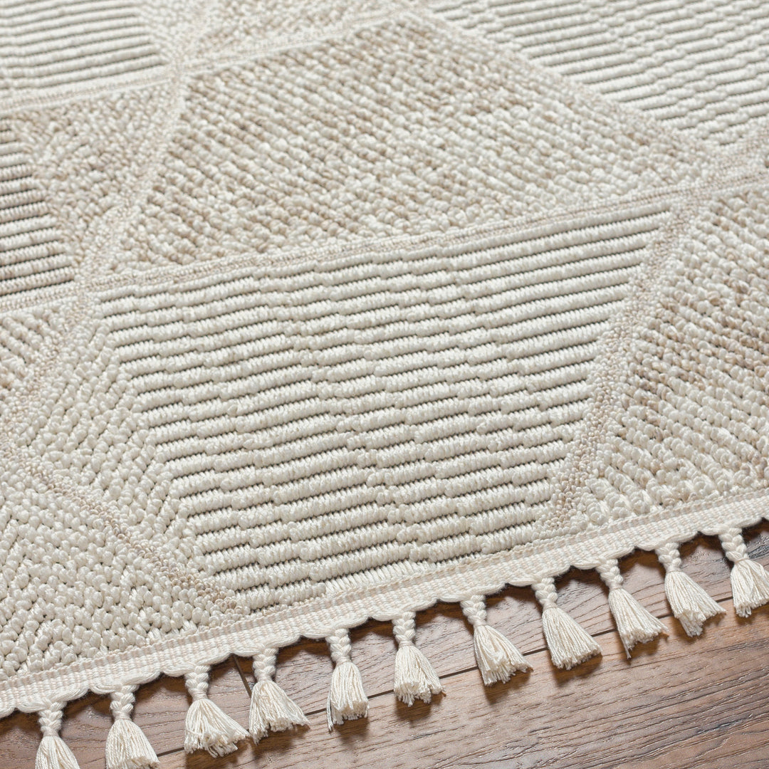 Finland Abstract Tassel Rug