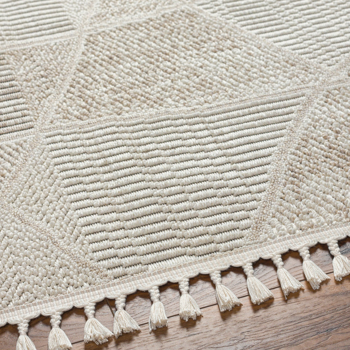 Finland Abstract Tassel Rug