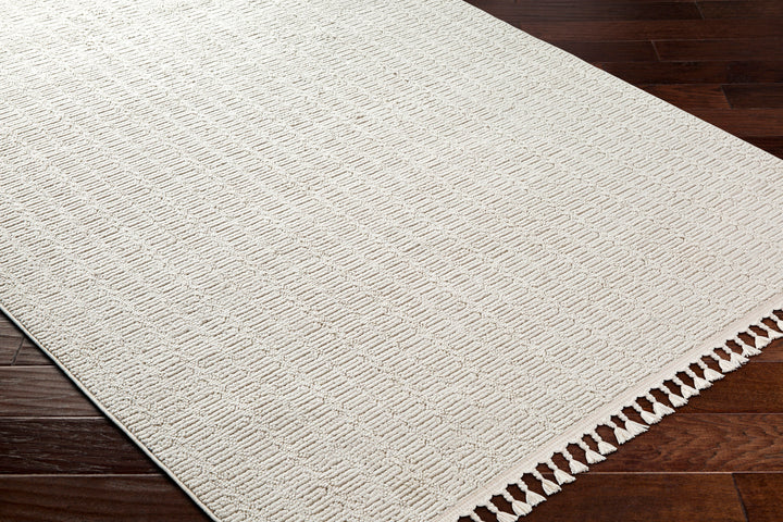 Finneas Geo Tassel Rug