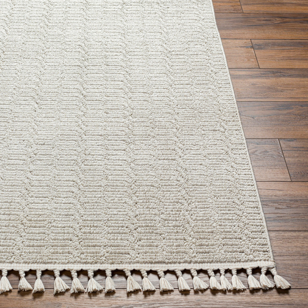 Finneas Geo Tassel Rug