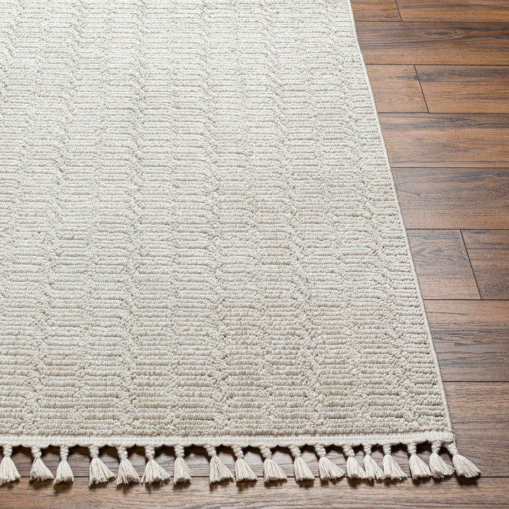 Finneas Geo Tassel Rug