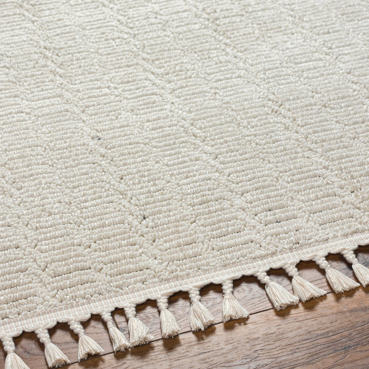 Finneas Geo Tassel Rug