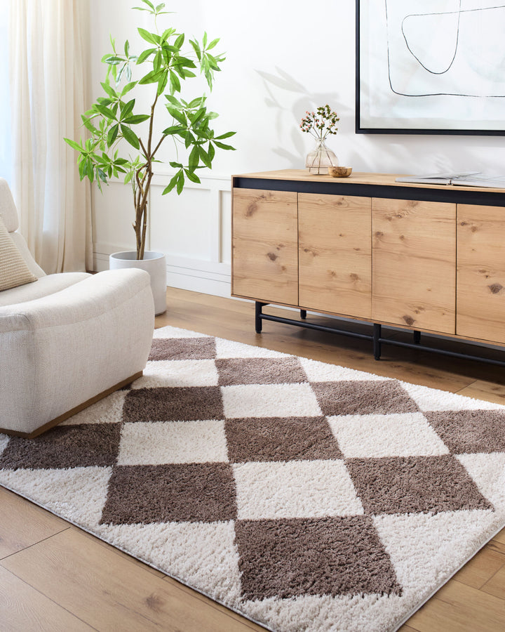 Francis Shag Washable Rug