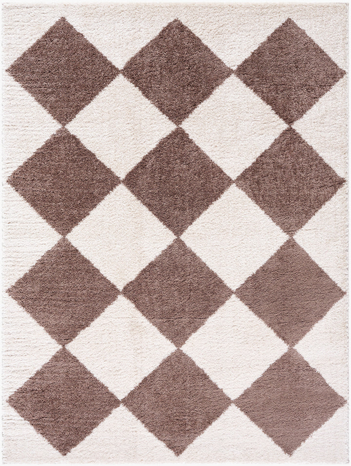 Francis Shag Washable Rug