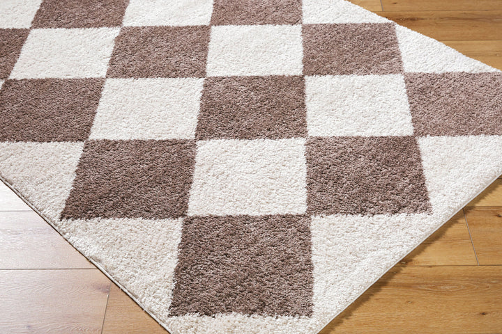 Francis Shag Washable Rug