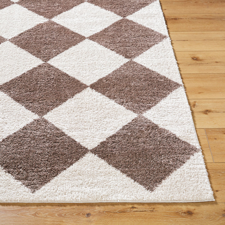 Francis Shag Washable Rug