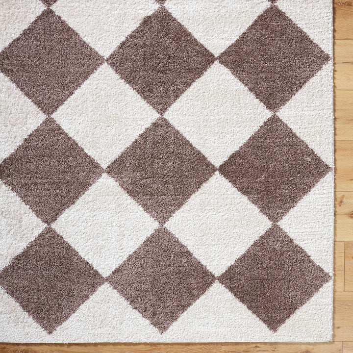 Francis Shag Washable Rug