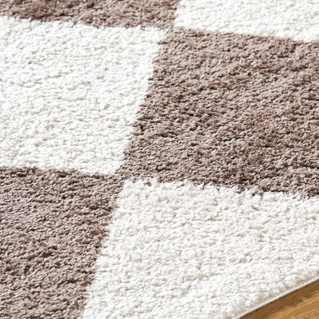 Francis Shag Washable Rug