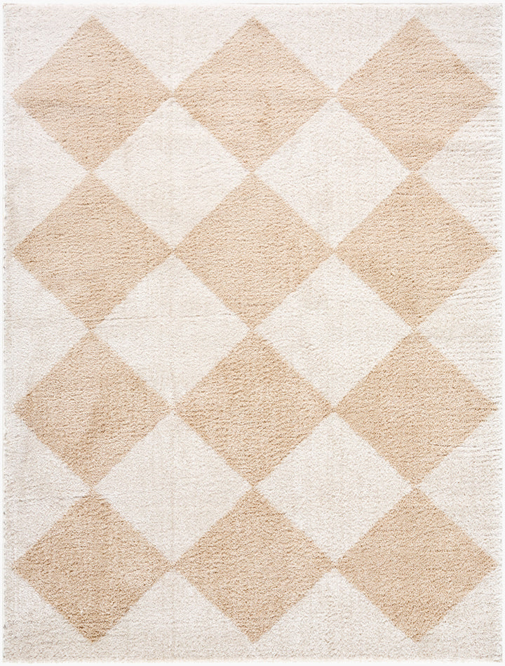 Francis Shag Washable Rug