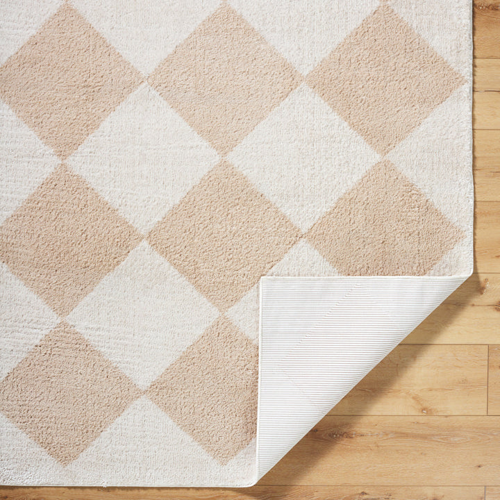 Francis Shag Washable Rug