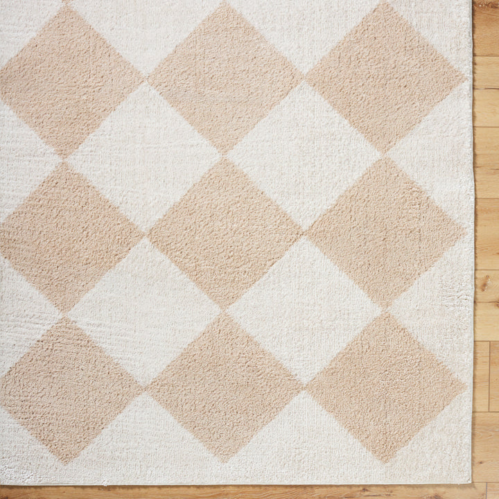 Francis Shag Washable Rug