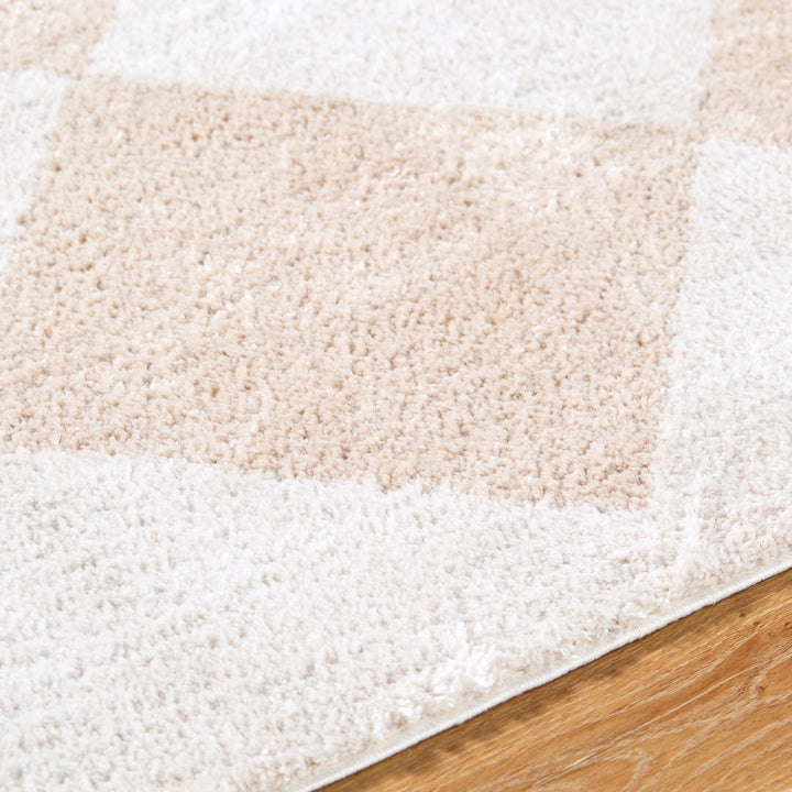 Francis Shag Washable Rug