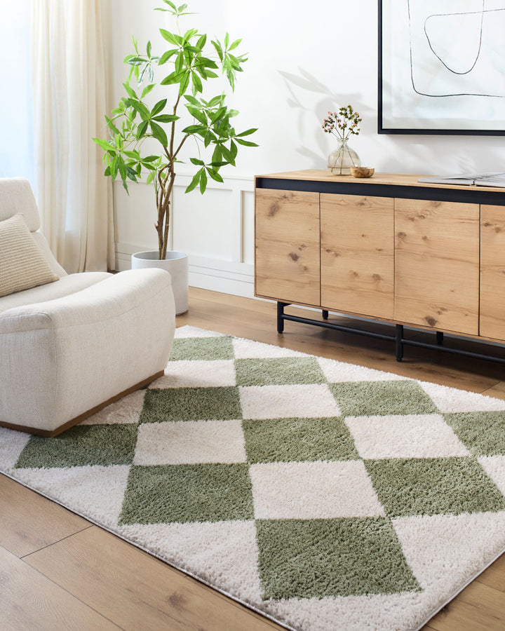 Francis Shag Washable Rug