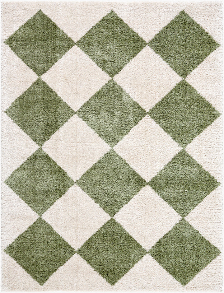Francis Shag Washable Rug