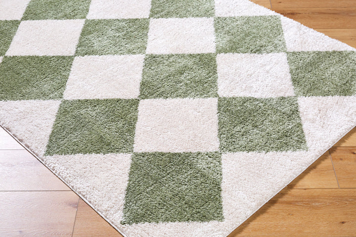 Francis Shag Washable Rug
