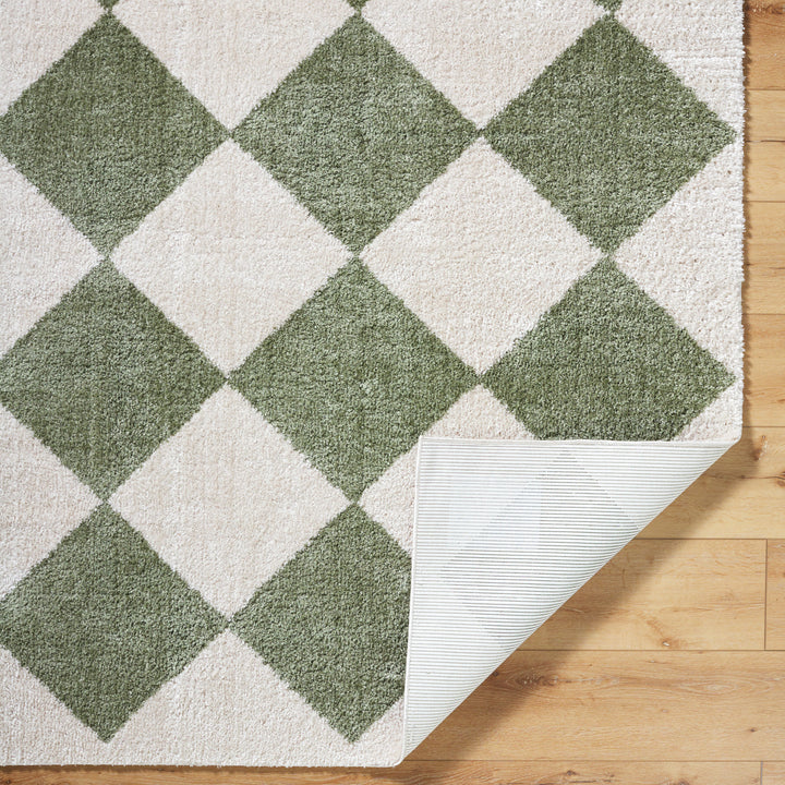 Francis Shag Washable Rug