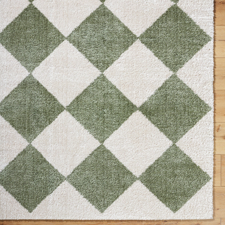 Francis Shag Washable Rug