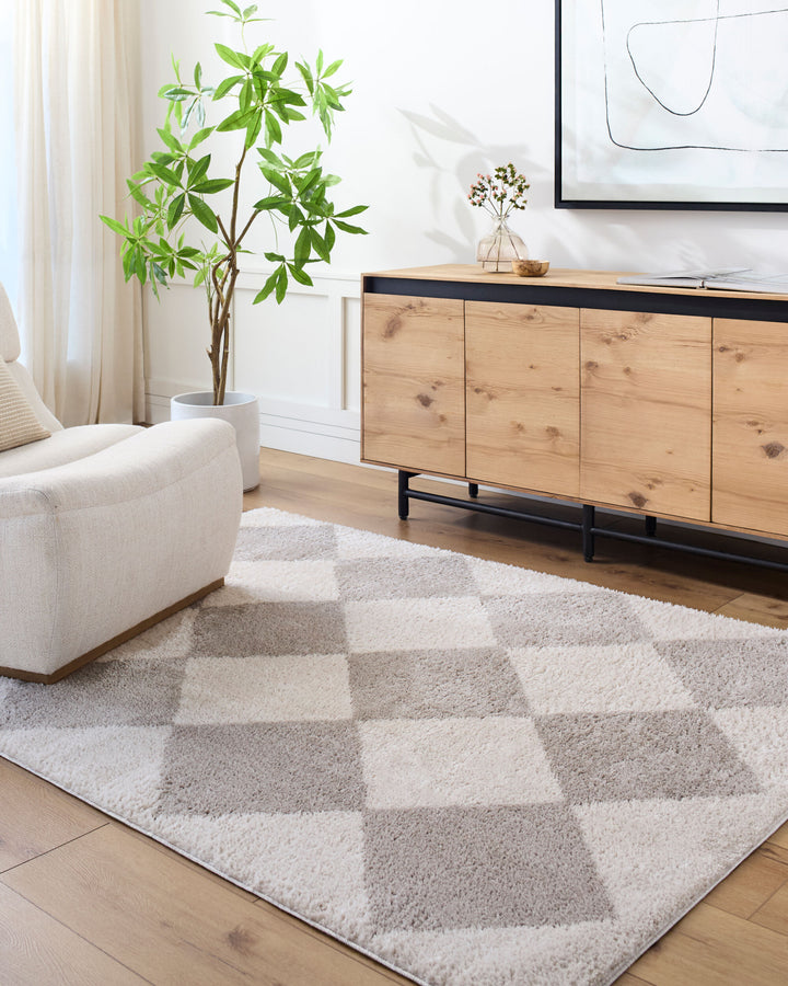 Francis Shag Washable Rug
