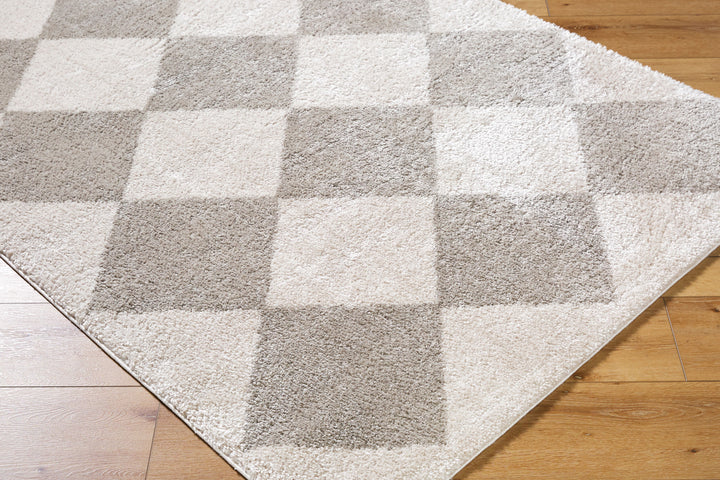 Francis Shag Washable Rug