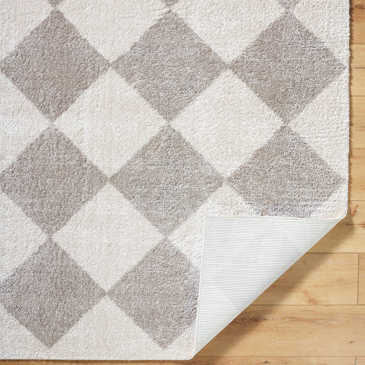 Francis Shag Washable Rug