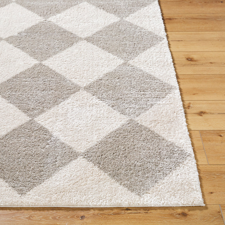 Francis Shag Washable Rug